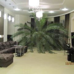 Гостиница Villa De Palma интерьер отеля фото 2
