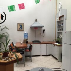 Hostel Lit Guadalajara с домашними животными
