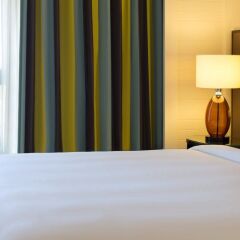 Renaissance Amsterdam Hotel с домашними животными