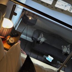 Отель Velvet Hotel Великобритания, Манчестер - отзывы, цены и фото номеров - забронировать отель Velvet Hotel онлайн сейф в номере