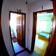 Отель Funky Monkey Hostel Болгария, Пловдив - отзывы, цены и фото номеров - забронировать отель Funky Monkey Hostel онлайн комната для гостей фото 2