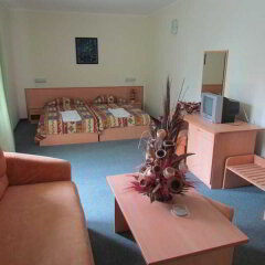 Aurelia Hotel комната для гостей