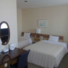 Asakusa Central Hotel комната для гостей фото 5