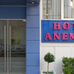 Hotel Anemoni фото 9