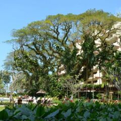 Отель Shangri-La's Rasa Sayang Resort and Spa, Penang Малайзия, Пенанг - отзывы, цены и фото номеров - забронировать отель Shangri-La's Rasa Sayang Resort and Spa, Penang онлайн фото 3