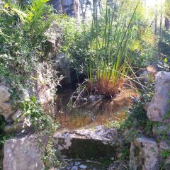 Отель Sintra Marmòris Palace фото 20