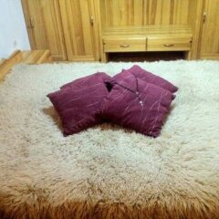 Отель Hadjipopov Green Lodge Банско удобства в номере фото 2