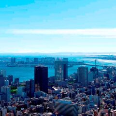 Отель Andaz Tokyo Toranomon Hills - a concept by Hyatt Япония, Токио - 1 отзыв об отеле, цены и фото номеров - забронировать отель Andaz Tokyo Toranomon Hills - a concept by Hyatt онлайн пляж фото 2