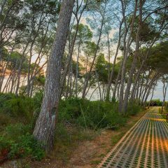 Hotel Pleta de Mar By Nature фото 14