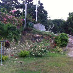 Отель Teresinajamaica Монастырь фото 6