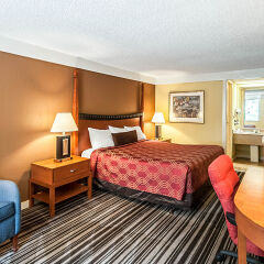 Отель Econo Lodge комната для гостей фото 3