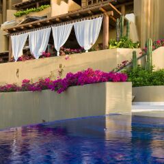 Отель Cala de Mar Resort & Spa Ixtapa