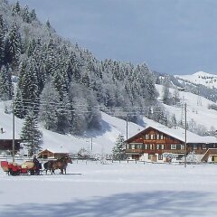 Отель Baumerhus спа