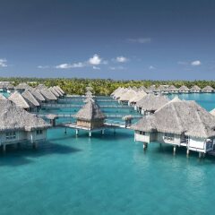 Отель The St Regis Bora Bora Resort Французская Полинезия, Бора-Бора - отзывы, цены и фото номеров - забронировать отель The St Regis Bora Bora Resort онлайн фото 9