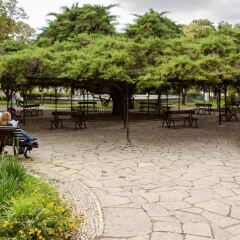 Отель My Suite Lisbon Португалия, Лиссабон - отзывы, цены и фото номеров - забронировать отель My Suite Lisbon онлайн фото 17