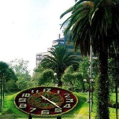 Hotel El Greco детские мероприятия