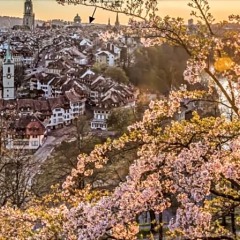 Hotel Baren am Bundesplatz пляж