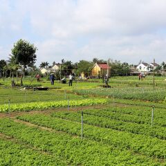 Отель Cilantro Villa
