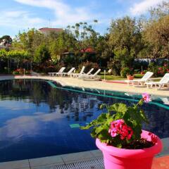 Hotel Dimitra Sun бассейн