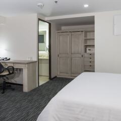 Отель Holiday Inn Suites Zona Rosa Мексика, Мехико - отзывы, цены и фото номеров - забронировать отель Holiday Inn Suites Zona Rosa онлайн фото 13