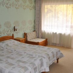 Отель Family Hotel Shoky Болгария, Чепеларе - отзывы, цены и фото номеров - забронировать отель Family Hotel Shoky онлайн комната для гостей фото 5