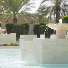 Отель Desert Palm ОАЭ, Дубай - отзывы, цены и фото номеров - забронировать отель Desert Palm онлайн с домашними животными