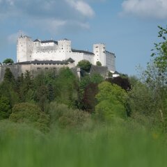 Отель Sauerweingut Австрия, Зальцбург - отзывы, цены и фото номеров - забронировать отель Sauerweingut онлайн приотельная территория