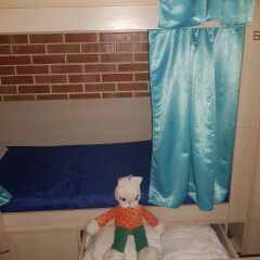 Hostel Gorozhanin ванная