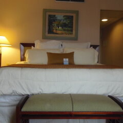 Hotel Honduras Maya in Tegucigalpa, Honduras from 120$, photos, reviews - zenhotels.com room amenities photo 2