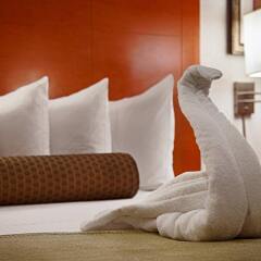 Отель Best Western Kennedy Airport США, Нью-Йорк - 1 отзыв об отеле, цены и фото номеров - забронировать отель Best Western Kennedy Airport онлайн удобства в номере