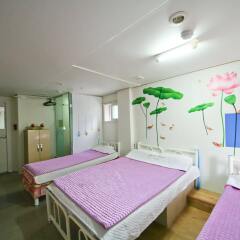 Отель Guest House Myeongdong детские мероприятия