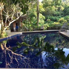 Отель Kanita Garden At Phuket бассейн фото 2