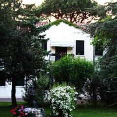 Отель Park Villa Giustinian Мирано фото 10