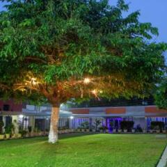 Отель Ssnit Guest House фото 6