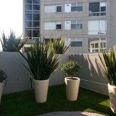 Отель The Place Corporate Rentals Мехико