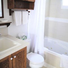 1 Of A Kind Sculpture B&B in Oliver, Canada from 155$, photos, reviews - zenhotels.com bathroom