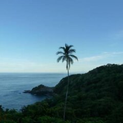 Beau Rive in Massacre, Dominica from 156$, photos, reviews - zenhotels.com beach