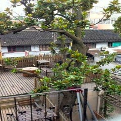 Отель Shanghai Old West Gate Hostel Китай, Шанхай - 1 отзыв об отеле, цены и фото номеров - забронировать отель Shanghai Old West Gate Hostel онлайн фото 22