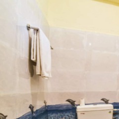 OYO 23254 Hotel Aqua ванная
