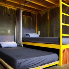 Gaia Hostel Далат комната для гостей фото 4