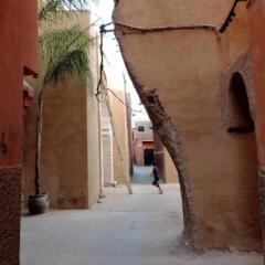Отель Riad Nirvana Марокко, Марракеш - отзывы, цены и фото номеров - забронировать отель Riad Nirvana онлайн фото 5