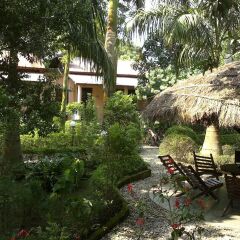 Отель Sauraha Boutique Resort Непал, Саураха - отзывы, цены и фото номеров - забронировать отель Sauraha Boutique Resort онлайн фото 18