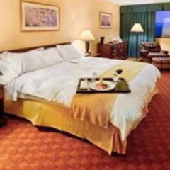 Radisson Hotel Valley Forge в номере