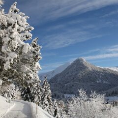 Отель Grischa - DAS Hotel Davos Швейцария, Давос - отзывы, цены и фото номеров - забронировать отель Grischa - DAS Hotel Davos онлайн фото 7