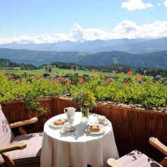 Отель Naturhotel Alpenrose Австрия, Мильстат - отзывы, цены и фото номеров - забронировать отель Naturhotel Alpenrose онлайн балкон