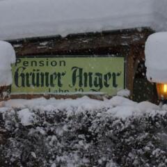 Отель Gasthof Pension Gruner Anger фото 4