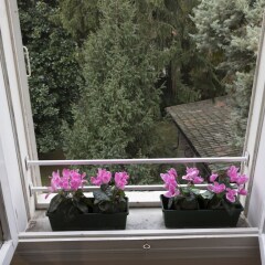 Отель B&b Brandolese Падуя балкон