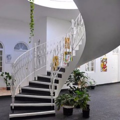 Jamaica Palace Hotel развлечения