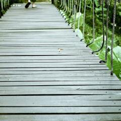 Отель The Mangrove Panwa Phuket Resort фото 4