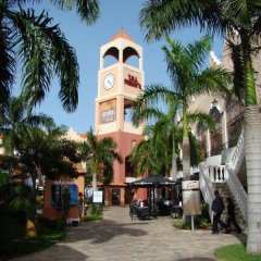 Palmita Hotel Hostel in Oranjestad, Aruba from 325$, photos, reviews - zenhotels.com photo 7